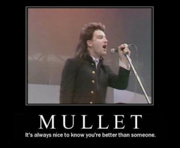 mullet-is-special-demotivational-poster.jpg