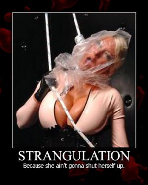 strangulation-because-she-aint-gonna-shut-herself-up-demotivational-poster.jpg