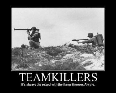 teamkillers-flame-thrower-demotivational-poster.jpg