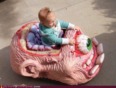 wtf-pics-baby-on-board.jpg