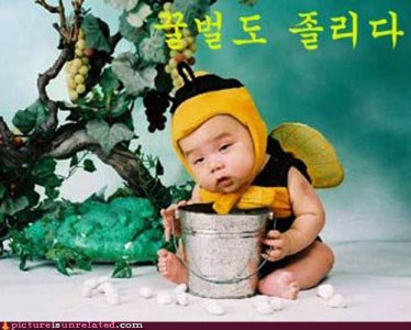 wtf_pics-bee-baby-love.jpg