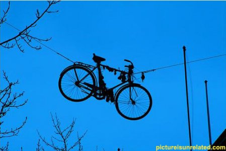 wtf_pics-bike-wire.jpg