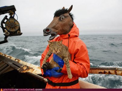 wtf_pics-deadliest-catch.jpg