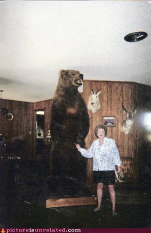 wtf_pics-old-lady-with-bear.jpg