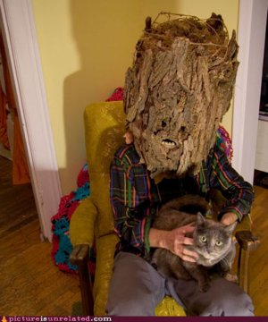 wtf_pics-tree-ent-and-cat.jpg