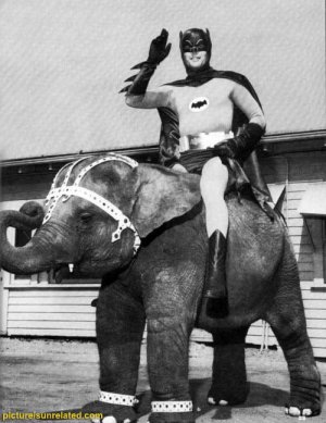 wtf_pictures-bat-e-phant.jpg