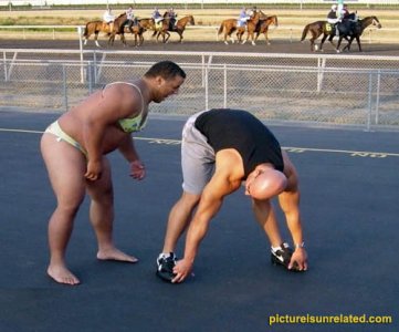 wtf_pictures-gay-sumo-racetrack.jpg