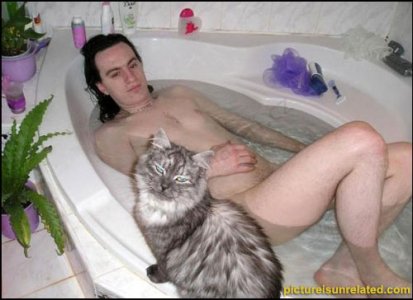 wtf_pictures-sexy-kitty-tubtimes.jpg