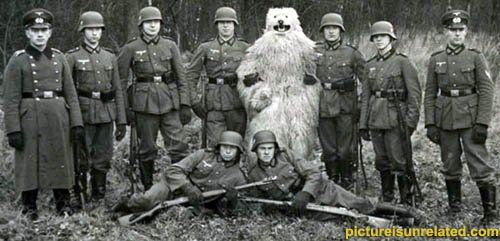 wtf_pictures-yeti-brigade1.jpg