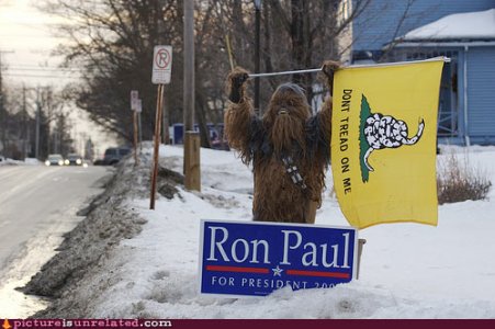 wtf-pics-tread-on-chewie.jpg