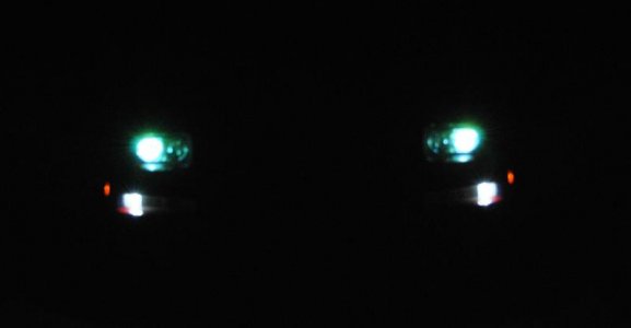 both led and hid crop.jpg