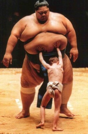 sumo-kid.jpg