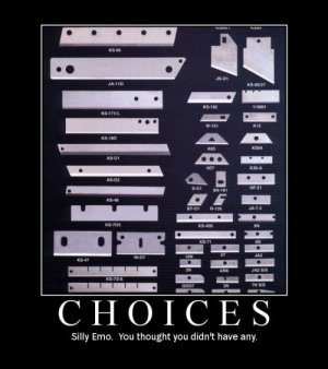 choices1.jpg