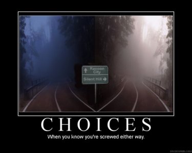 choices-500x400.jpg