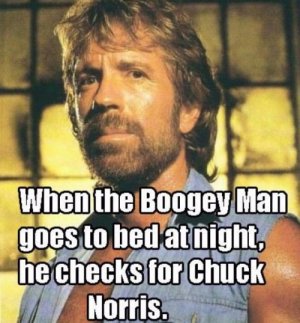 chuckvsboogie-500x537.jpg