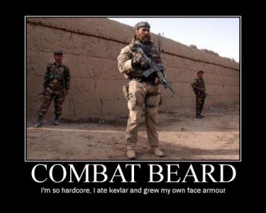 combatbeard-500x400.jpg