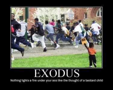 exodus-500x400.jpg