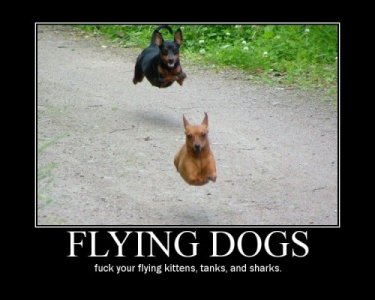 flyingdogs-500x400.jpg