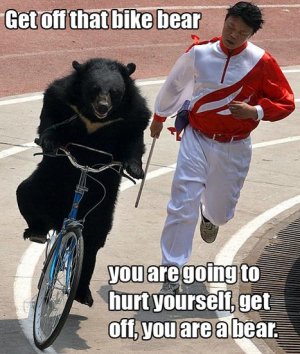 getoffthatbikebear1.jpg