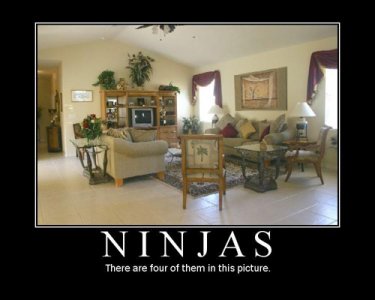 ninjas.jpg