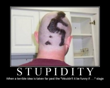 stupidity-500x400.jpg