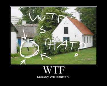 wtf1-500x400.jpg