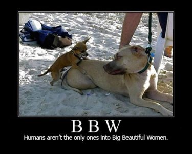 bbw-humans.jpg