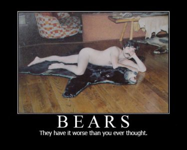 bears.jpg