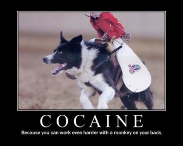 cocaine-demotivational-poster.jpg