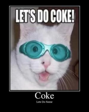 coke-cat-demotivational-poster.jpg