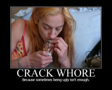 crack-whore-because-sometimes-being-ugly-isnt-enough-demotivational-poster.jpg