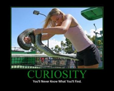 curiosity-snake-girl-demotivational-poster.jpg