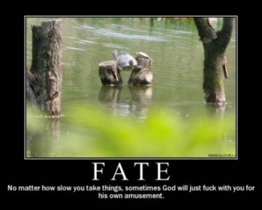 fate-god-hates-you.jpg