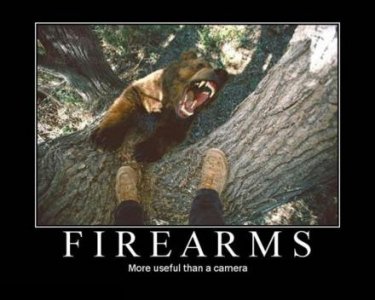 firearms-bear-camera-demotivational-posters.jpg