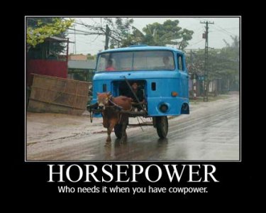 horsepower-who-needs-it-when-you-have-cowpower-demotivational-poster.jpg