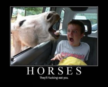 horses-eat-people-demotivational-poster.jpg