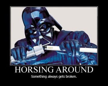 horsing-around-something-always-gets-broken-demotivational-poster.jpg