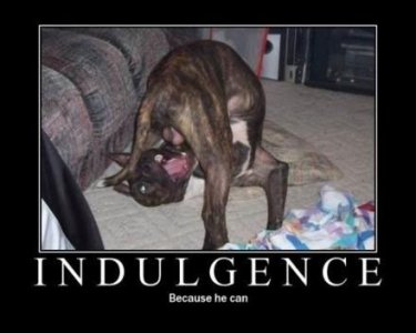 indulgence-balls-dog-demotivational-poster.jpg