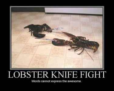 lobster-knife-fight-demotivational-poster.jpg