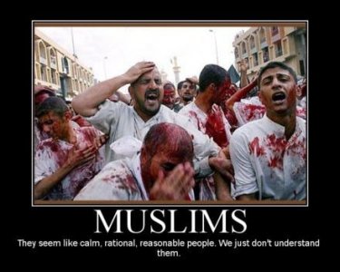 muslims-rational-demotivational-poster.jpg