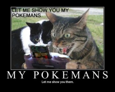 mypokemans-cats-show-pokemons-demotivational-poster.jpg