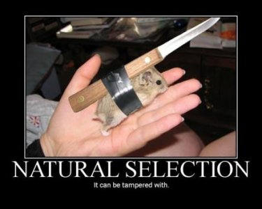 natural-selection-demotivational-poster.jpg