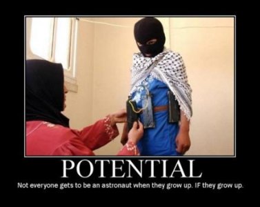 potential-demotivational-poster.jpg