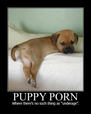 puppy-porn-.jpg