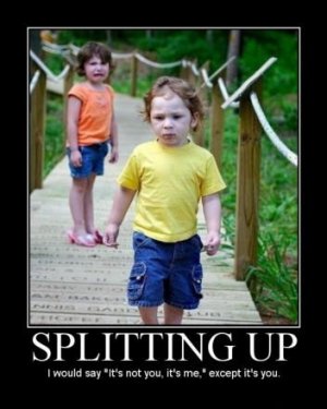 splitting-up-i-would-say-its-not-you-its-me-except-its-you.jpg