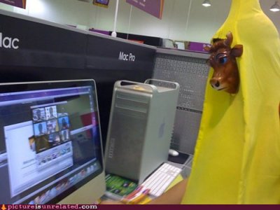 wtf-pics-cow-banana.jpg