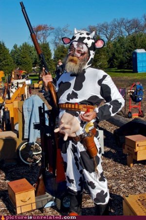 wtf-pics-cow-gunman.jpg