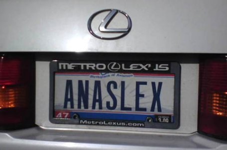 anas-lexus-plates.jpg