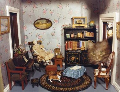 cat-dollhouse.jpg