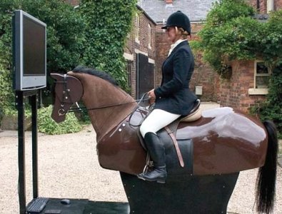 english-riding-trainer.jpg